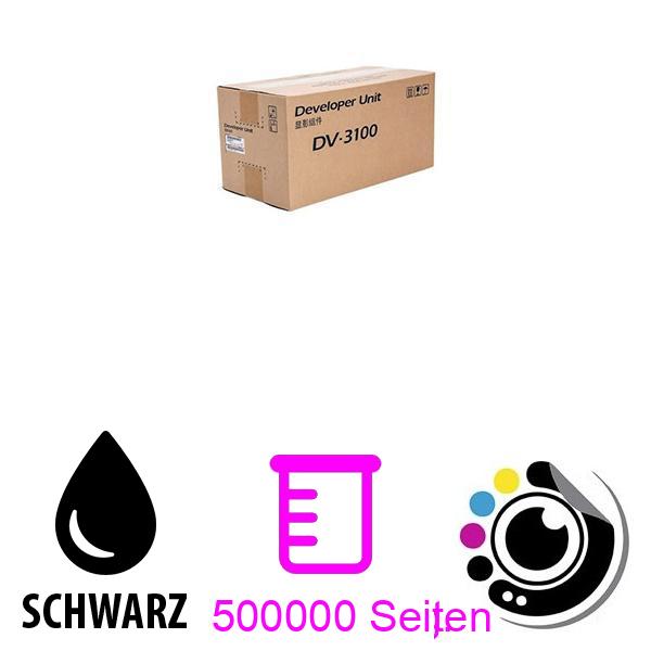 Original developer Kyocera DV-3100K Schwarz 302LV93080